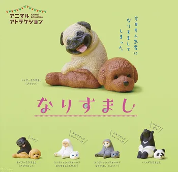 Japanese Capsule toy 5pcs cute animal pet funny pug pretending poodle Asiatic Black Bear pretending panda figures children gift
Japanese Capsule toy 5pcs cute animal pet funny pug pretending poodle Asiatic Black Bear pretending panda figures children gift