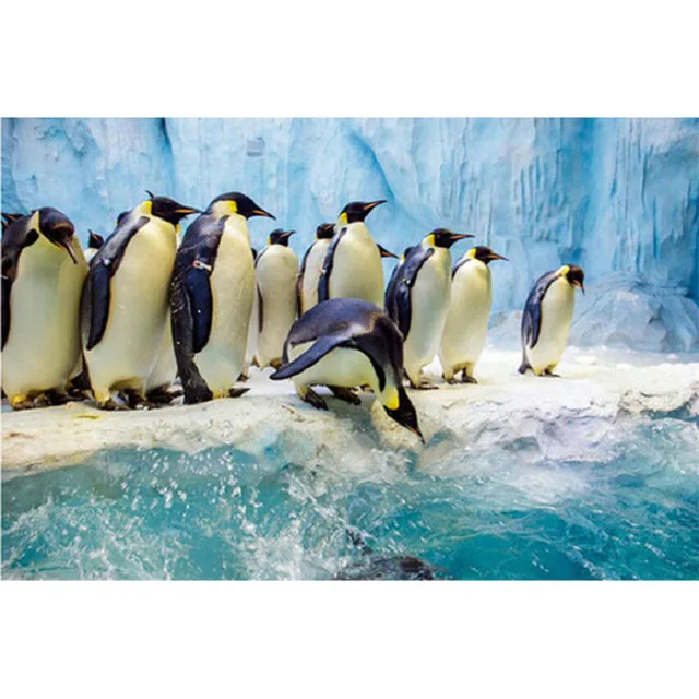 Diy Diamond Painting Cross Stitch Penguins Lined Up In The Snow Needlework Diamond Embroidery Full Round Mosaic Decoration Resin
Diy Diamond Painting Cross Stitch Penguins Lined Up In The Snow Needlework Diamond Embroidery Full Round Mosaic Decoration Resin