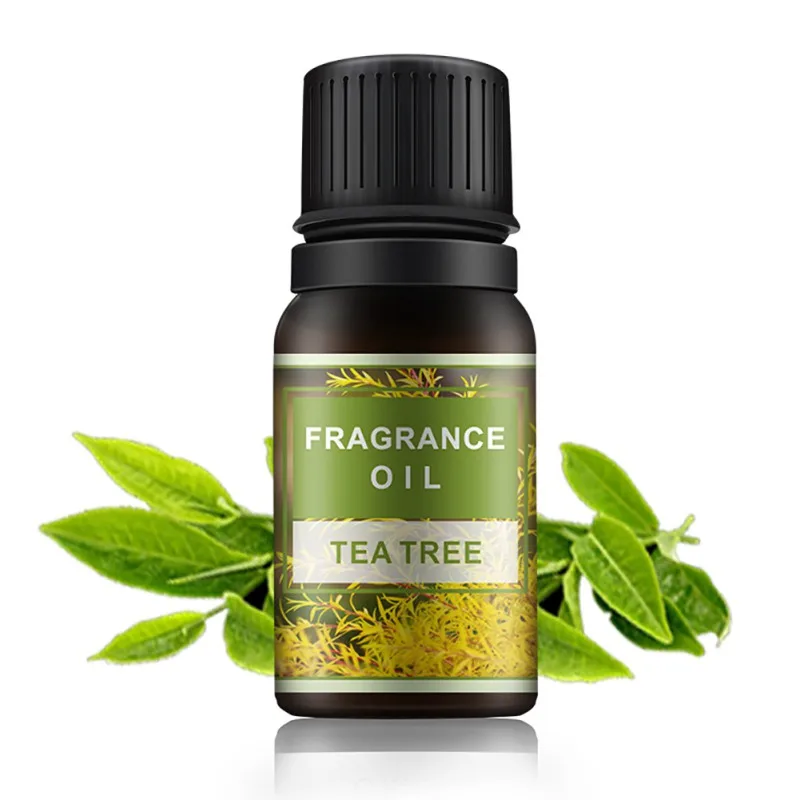 Essential Oils for Diffuser Aromatherapy Oil Humidifier 6 Kinds Fragrance of Lavender Tea Tree Rosemary Lemongrass Orange
Essential Oils for Diffuser Aromatherapy Oil Humidifier 6 Kinds Fragrance of Lavender Tea Tree Rosemary Lemongrass Orange