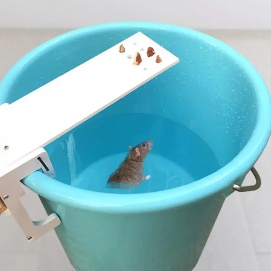 Домашний садовый прибор для сбора вредителей ловушка крыс быстрого уничтожения
