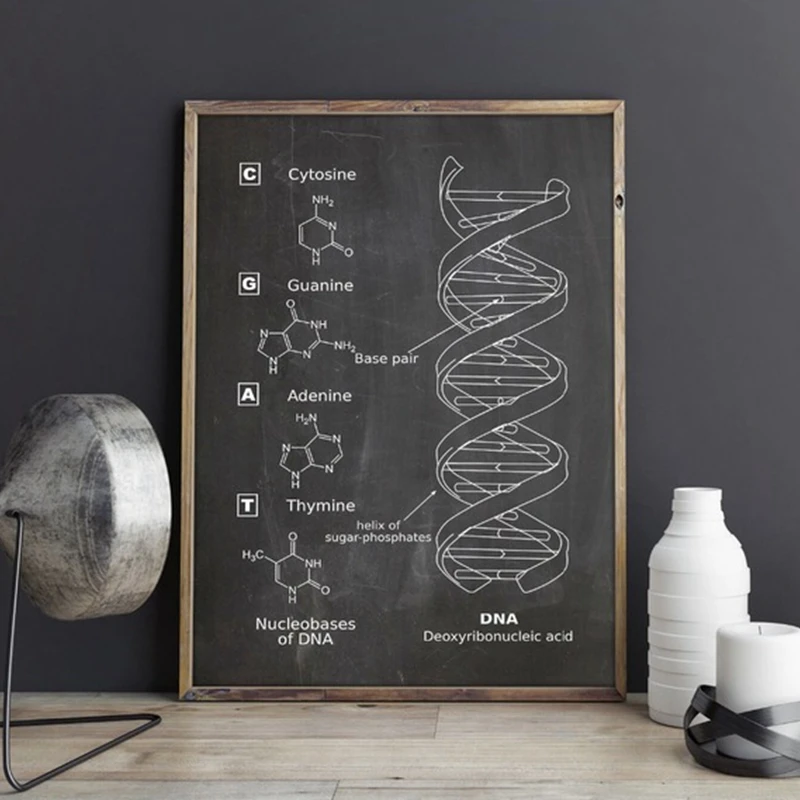 DNA Patent Wall Art Genetics Posters Print Biology Wall Decor Vintage Blueprint Prints Medical Student Gift Science Decorations
DNA Patent Wall Art Genetics Posters Print Biology Wall Decor Vintage Blueprint Prints Medical Student Gift Science Decorations