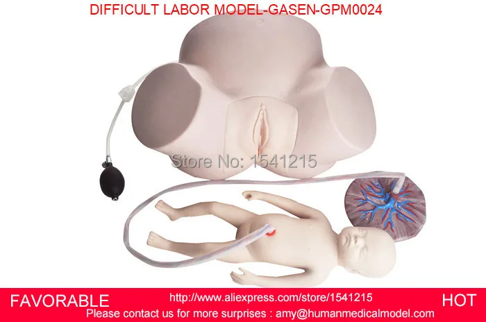 DYSTOCIA TRAINING SIMULATOR,DIFFICULT/DIFFCULT LABOR SIMULATOR, DYSTOCIA TEACHING TRAINING MODEL,LABOR MODEL-GASEN-GPM0024
DYSTOCIA TRAINING SIMULATOR,DIFFICULT/DIFFCULT LABOR SIMULATOR, DYSTOCIA TEACHING TRAINING MODEL,LABOR MODEL-GASEN-GPM0024