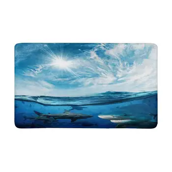 Beautiful Cloudy Divine Sunlight Dangerous Sharks Doormat Indoor Entrance Rug Floor Mats Shoe Scraper Door Mat
Beautiful Cloudy Divine Sunlight Dangerous Sharks Doormat Indoor Entrance Rug Floor Mats Shoe Scraper Door Mat