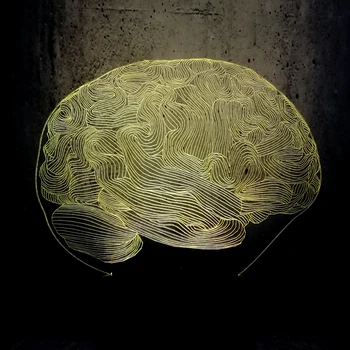 NEW ARRIVAL Cool Cerebrum Brain 3D LED LAMP NIGHT LIGHT Mulicolor RGB Gradient Doctor Home Decorative Birthday Christmas Gift
NEW ARRIVAL Cool Cerebrum Brain 3D LED LAMP NIGHT LIGHT Mulicolor RGB Gradient Doctor Home Decorative Birthday Christmas Gift