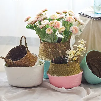 Mini Colourful Round Plastic Plant Flower Pot Garden Home Office Decor Planter Desktop Flower Pots Flowerpot Groot Dropshipping
Mini Colourful Round Plastic Plant Flower Pot Garden Home Office Decor Planter Desktop Flower Pots Flowerpot Groot Dropshipping