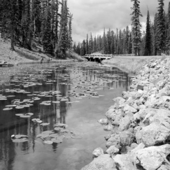 USA Wyoming Yellowstone National Park Isa Lake Poster Print (18 x 24)