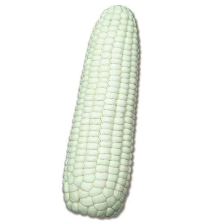 Potted Vegetable Silver Waxy Corn White Corn Melon bonsai Terrace Potted Rapebonsai 10Pcs
Potted Vegetable Silver Waxy Corn White Corn Melon bonsai Terrace Potted Rapebonsai 10Pcs