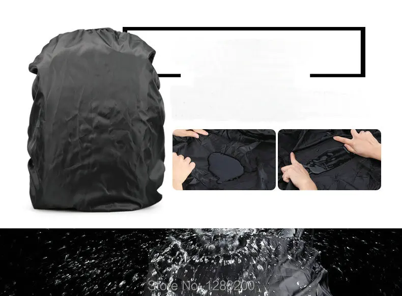 3598138773_1611564951