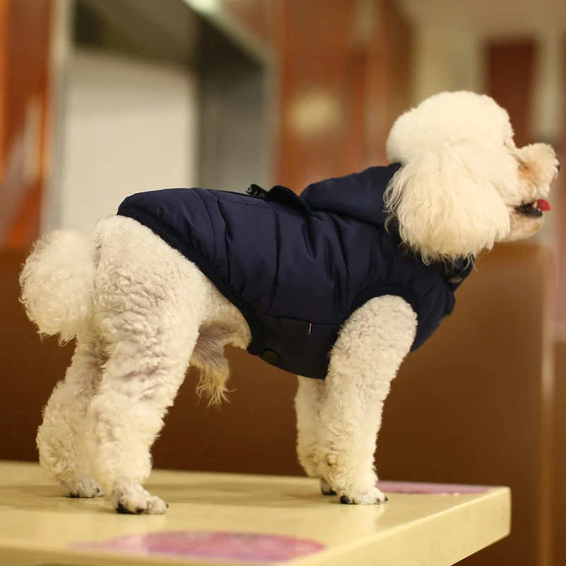 Pet Dog Winter Warm Detachable Hooded Coat Jacket Vest for Small Medium Dogs Hot Sale
Pet Dog Winter Warm Detachable Hooded Coat Jacket Vest for Small Medium Dogs Hot Sale