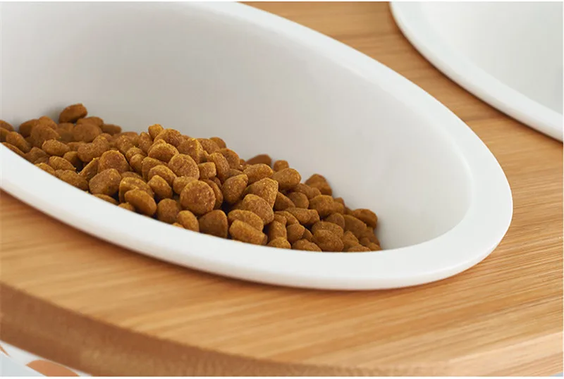 Dog and Cat Pet Feeder05
