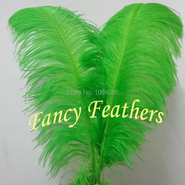 EMS Free Shipping! 50pcs/lot 60-65cm 24-26" Top quality Green ostrich feathers ostrich plumages plumes
EMS Free Shipping! 50pcs/lot 60-65cm 24-26" Top quality Green ostrich feathers ostrich plumages plumes