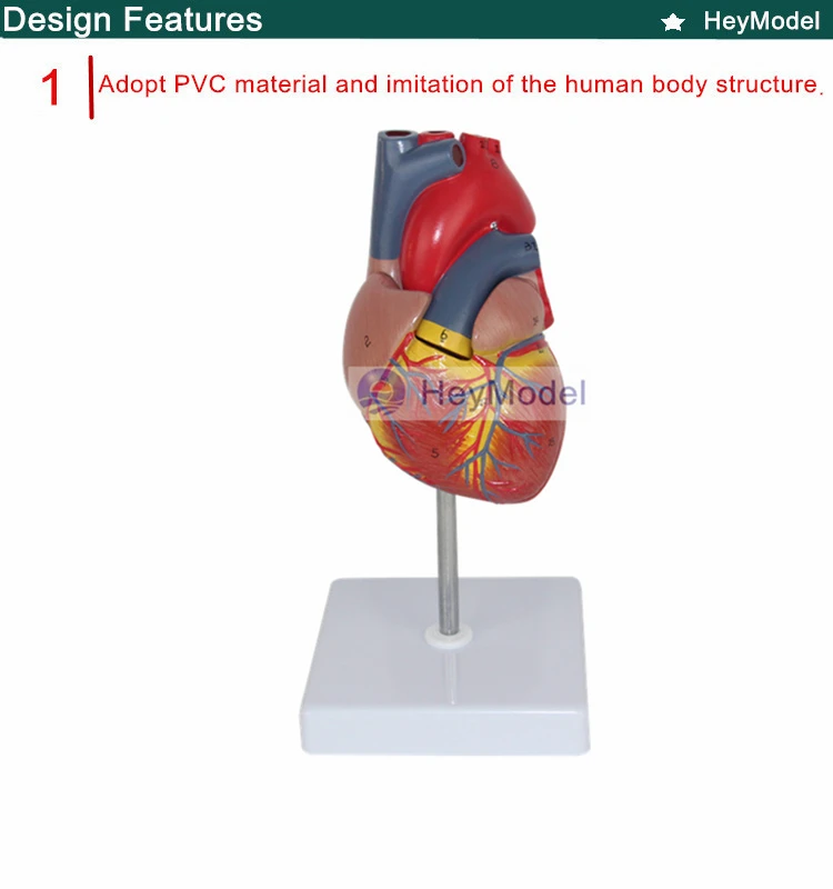 1.PVC_