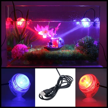 Indoor LED Underwater Lamp Waterproof LED Aquarium Light for Coral Reef Fish Tank Submersible Aquarium Light Spot Lamp
Indoor LED Underwater Lamp Waterproof LED Aquarium Light for Coral Reef Fish Tank Submersible Aquarium Light Spot Lamp