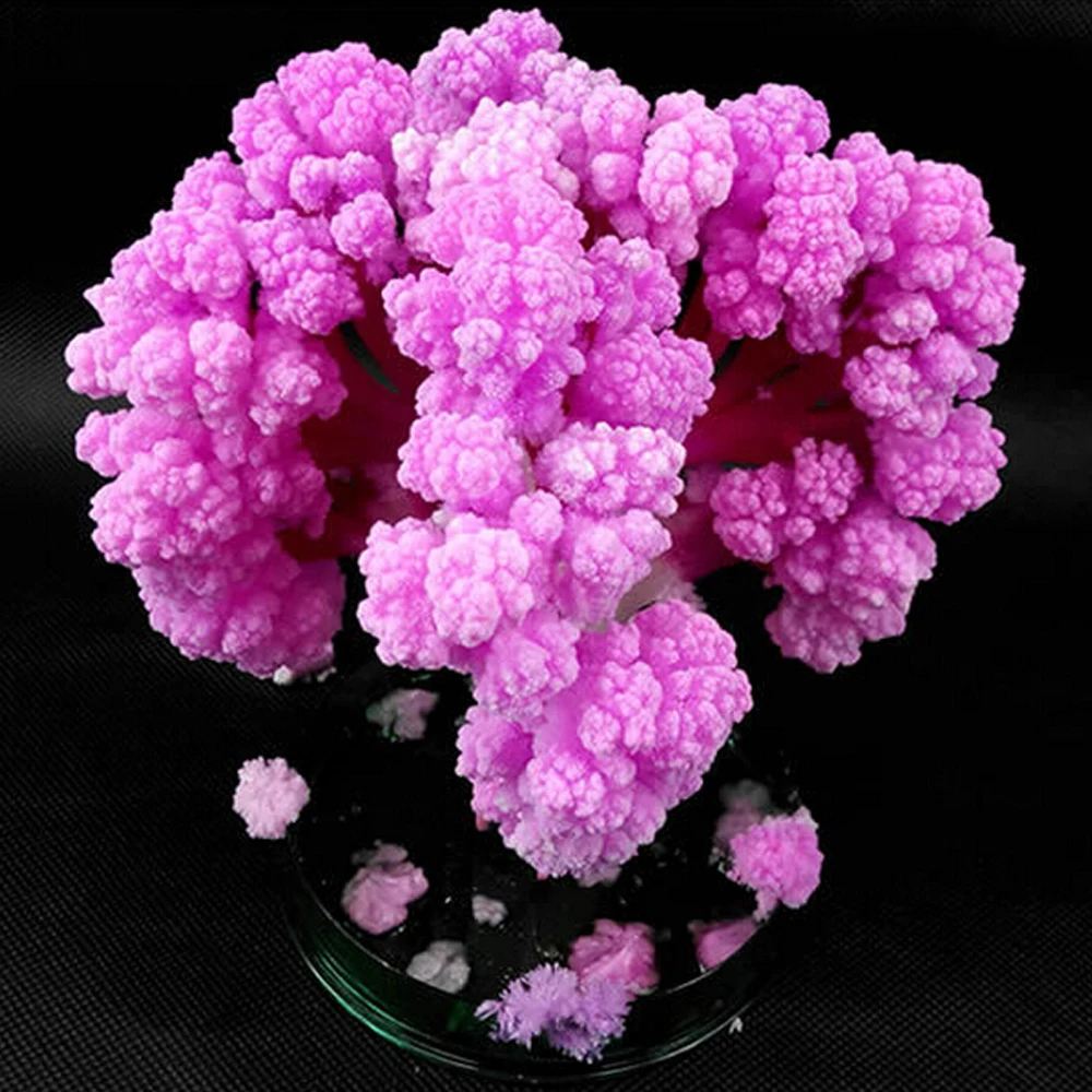 50PCS 2019 14Hx11Wcm Visual Pink Big Magic Paper Japanese Sakura Tree Growing Trees Kit Desktop Cherry Blossom Kids Toys Funny
50PCS 2019 14Hx11Wcm Visual Pink Big Magic Paper Japanese Sakura Tree Growing Trees Kit Desktop Cherry Blossom Kids Toys Funny