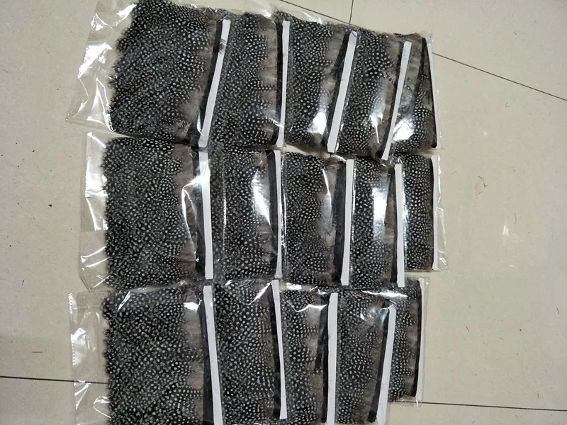 wholesale natural 1yards beatiful scare natural guinea fowl feathers Ribbon decorative 2-3inch/5-7cm Width Clothing accessories
wholesale natural 1yards beatiful scare natural guinea fowl feathers Ribbon decorative 2-3inch/5-7cm Width Clothing accessories
