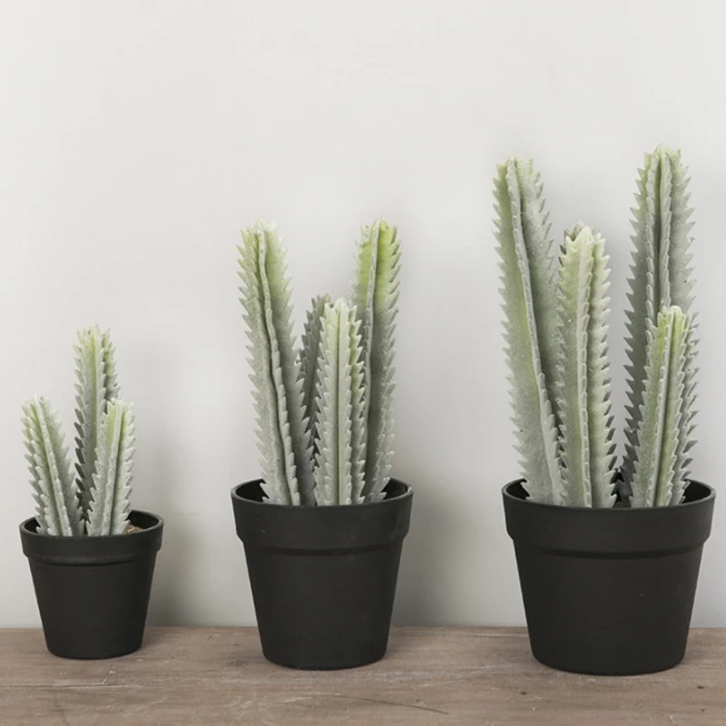20cm/25cm/31cm Cactus Artificial Succulents Fake Plastic Faux Green Desert Plants Large Flower Arrangement Home Garden Decor
20cm/25cm/31cm Cactus Artificial Succulents Fake Plastic Faux Green Desert Plants Large Flower Arrangement Home Garden Decor