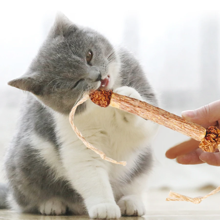 6Pcs Cat Sticks Matatabi Catmint With 2 Fruits Healthy And Safe Molar Toothpaste Katten Speelgoed Cat Chewing Toy
6Pcs Cat Sticks Matatabi Catmint With 2 Fruits Healthy And Safe Molar Toothpaste Katten Speelgoed Cat Chewing Toy