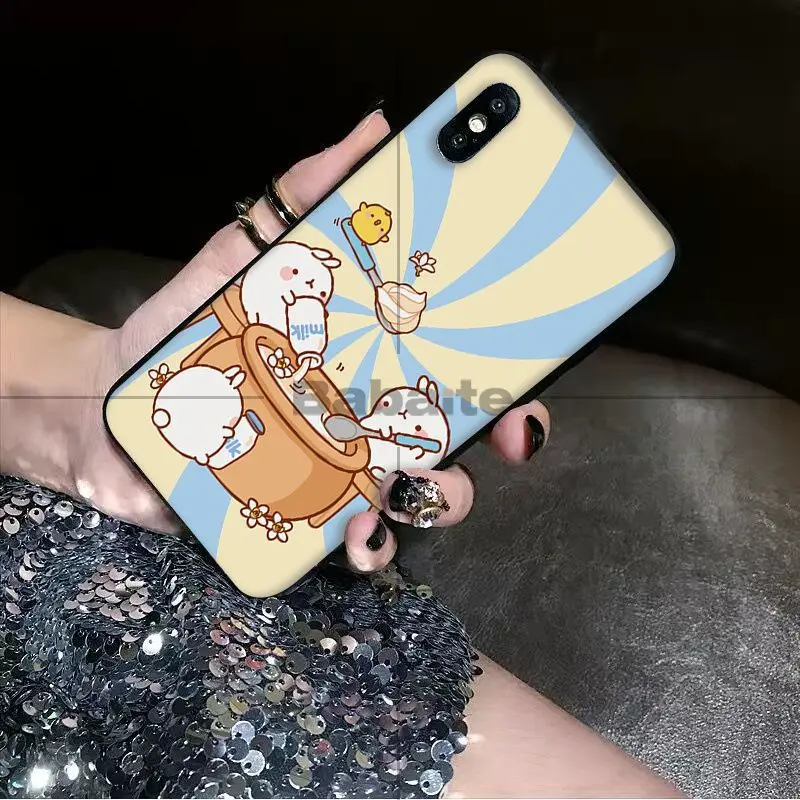 Cutest Kawaii Box Potatoes and rabbits Molang