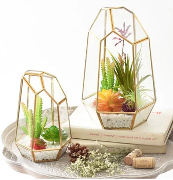 

Glass Geometric Terrarium Box 19cm Height Irregular Tabletop Succulent Plant Planter Flower Moss Fern Pot Micro Landscape Box