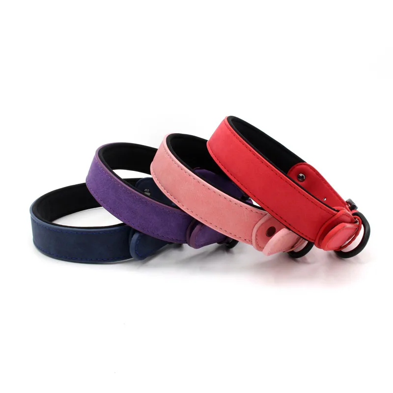 16 dog collar nylon