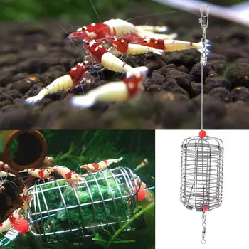 Aquarium Shrimp Small Bait Feeder Cage Dry Spinach Feeding Basket Stainless Steel Cage for Fish Floating Food C42
Aquarium Shrimp Small Bait Feeder Cage Dry Spinach Feeding Basket Stainless Steel Cage for Fish Floating Food C42