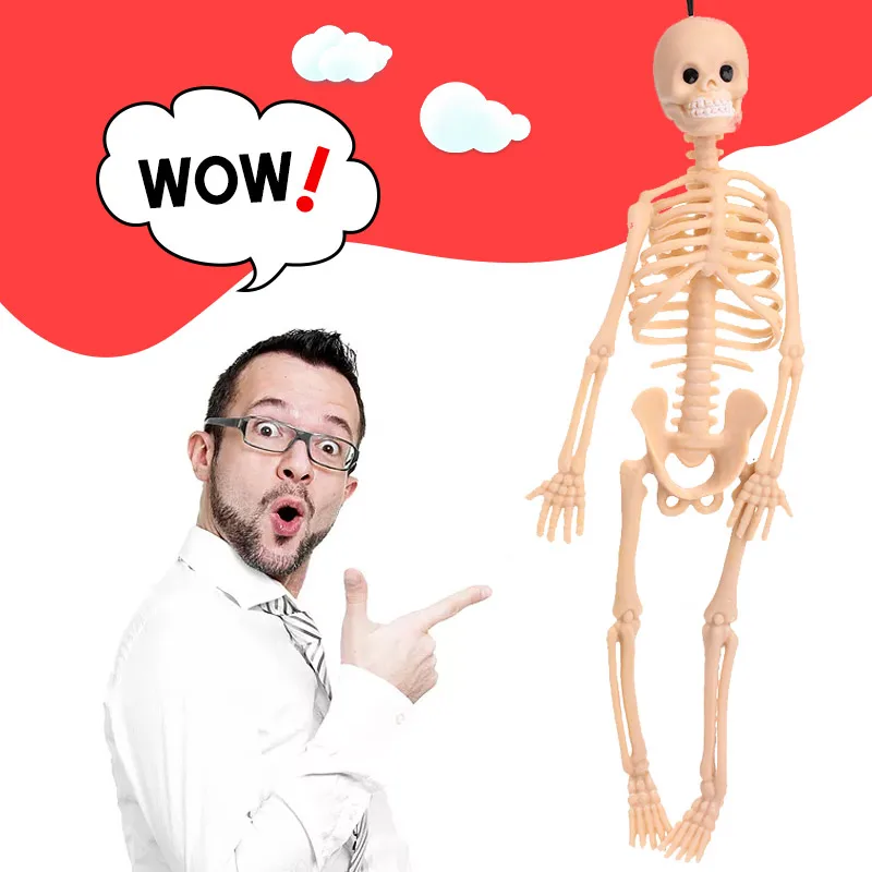 Skull Model Skull Toy Entertainment Decoration Fashion Scary Tricky Collection Cool Flesh Beginning Ability Educational Funny 
Skull Model Skull Toy Entertainment Decoration Fashion Scary Tricky Collection Cool Flesh Beginning Ability Educational Funny
