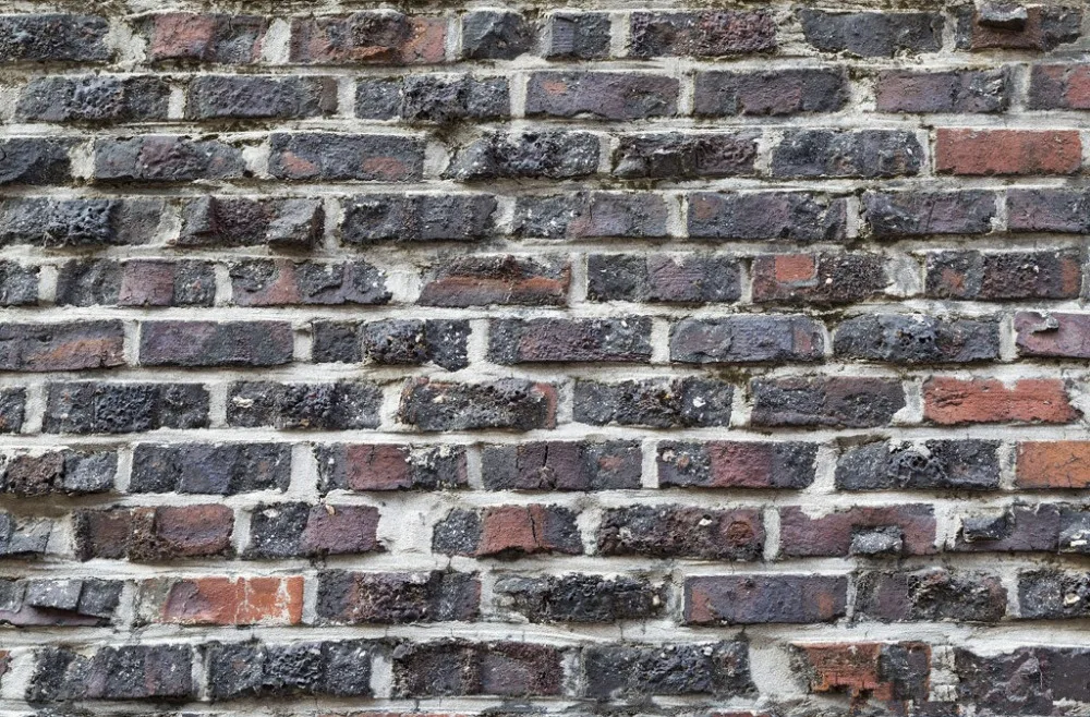 SHANNY Vinyl Custom Digital Printed Photography Backdrops Brick wall theme Prop Photo Studio Background JUT-1728
SHANNY Vinyl Custom Digital Printed Photography Backdrops Brick wall theme Prop Photo Studio Background JUT-1728