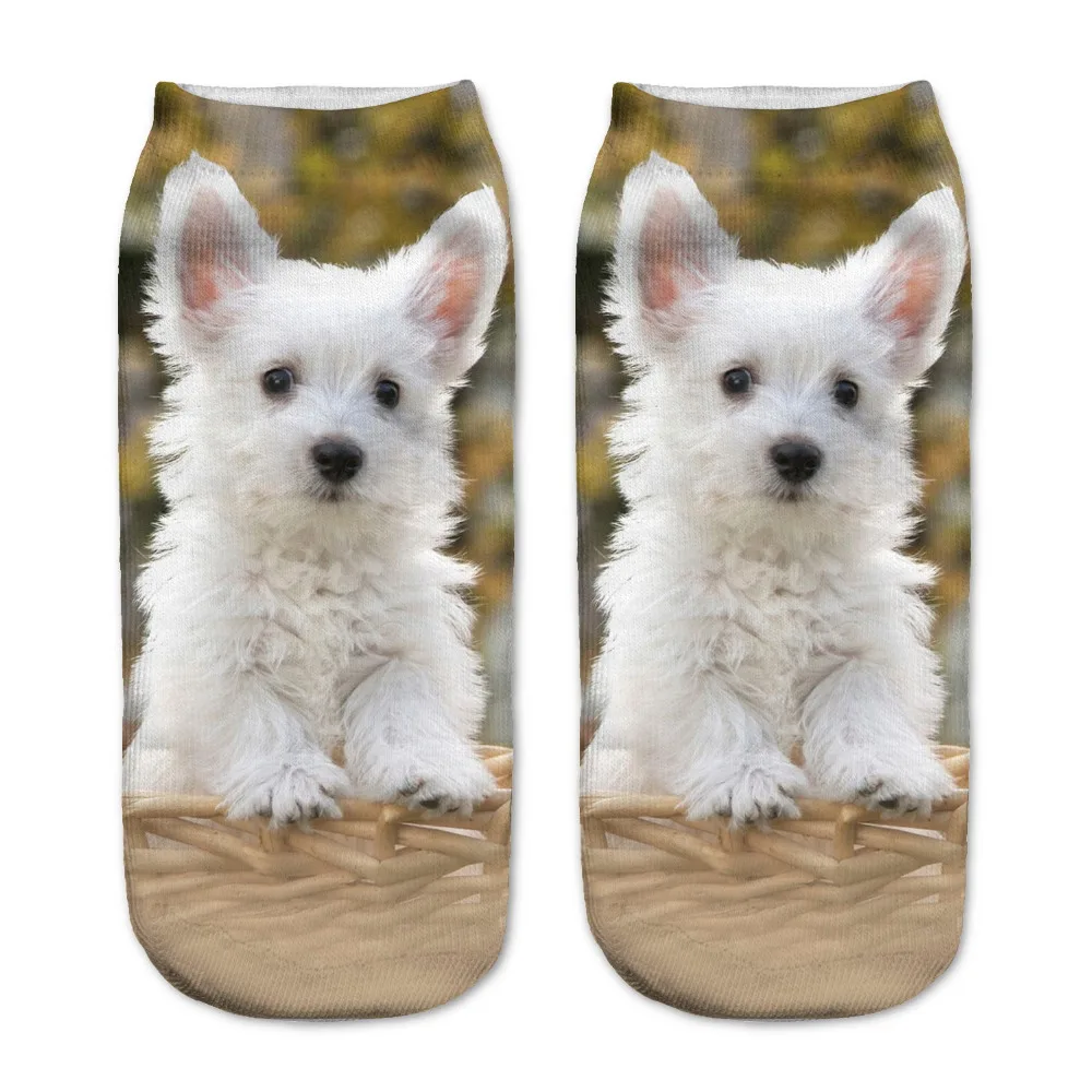Unisex Cute Dog Low Cut Ankle Socks Women Casual Charactor Socks 3D Owl Animal Pattern Cute Printed Socks Women Cotton Sock
Unisex Cute Dog Low Cut Ankle Socks Women Casual Charactor Socks 3D Owl Animal Pattern Cute Printed Socks Women Cotton Sock