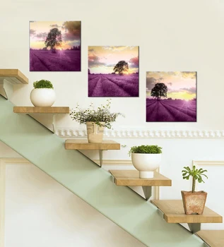 3 Pieces Spray Painting Oil Pictures Lavender s Botanicals Canvas Paintings Home Decoration Unframed
3 Pieces Spray Painting Oil Pictures Lavender s Botanicals Canvas Paintings Home Decoration Unframed