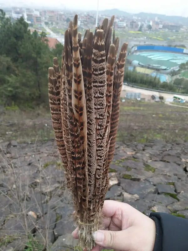 922E6DE1B858300036F2E5C4B8AA256E