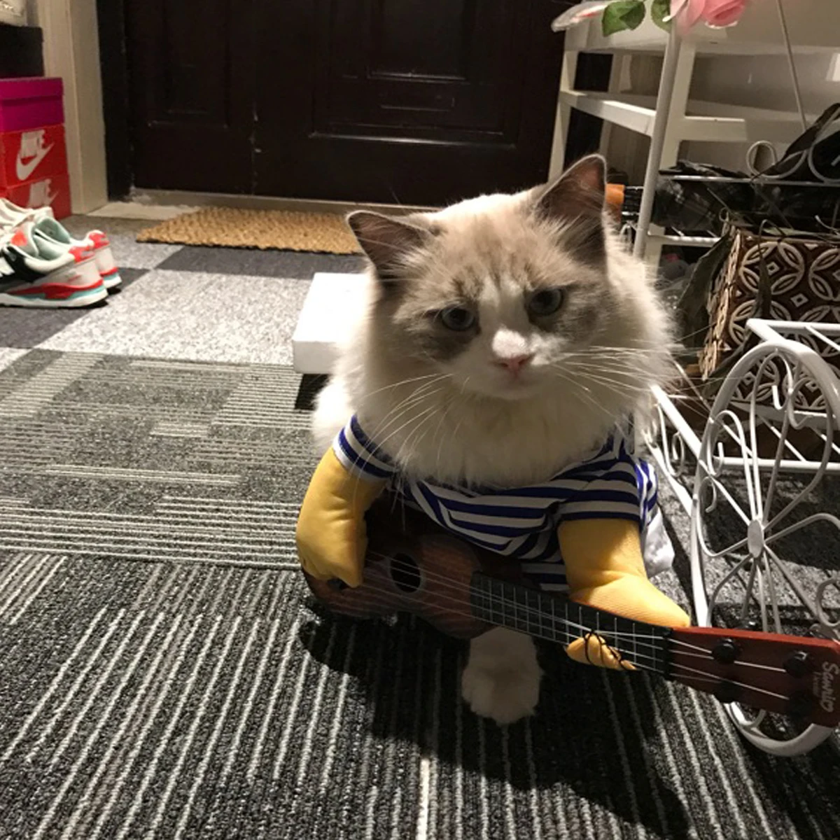 Funny Guitar Player Cosplay Costume Clothes Pet Clothes Halloween for Bulldog Cute Pet Cat Dog Pug Teddy for Xmas Party Dress Up
Funny Guitar Player Cosplay Costume Clothes Pet Clothes Halloween for Bulldog Cute Pet Cat Dog Pug Teddy for Xmas Party Dress Up
