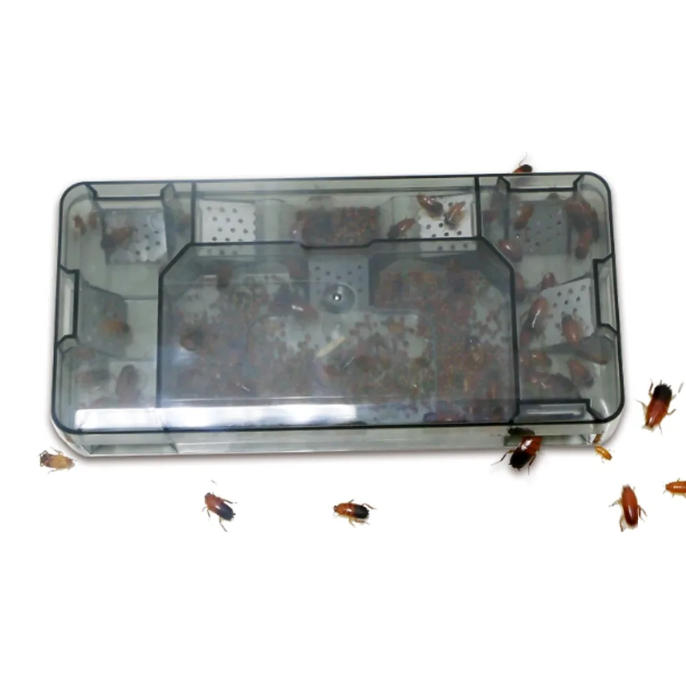 Cockroach Trap Safe Efficient Anti Cockroaches Killer Plus Large Repeller No Pollute For Home Office Kitchen
Cockroach Trap Safe Efficient Anti Cockroaches Killer Plus Large Repeller No Pollute For Home Office Kitchen
