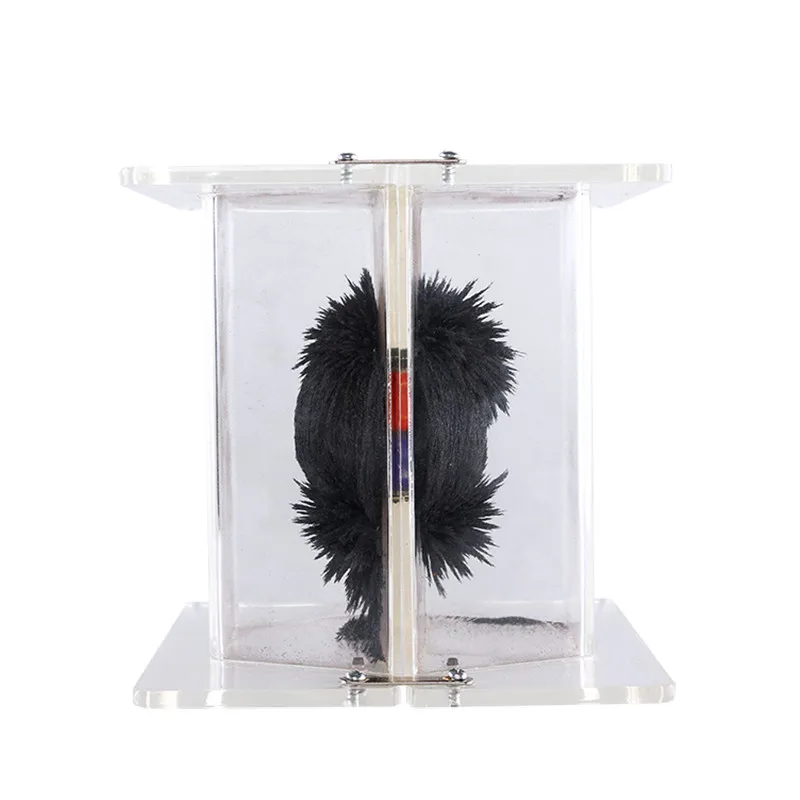 Dimensional Magnetic Field Lines Presentation Bar Magnets Magnetic Force Box School Laboratory Physics Experiment Equipment
Dimensional Magnetic Field Lines Presentation Bar Magnets Magnetic Force Box School Laboratory Physics Experiment Equipment