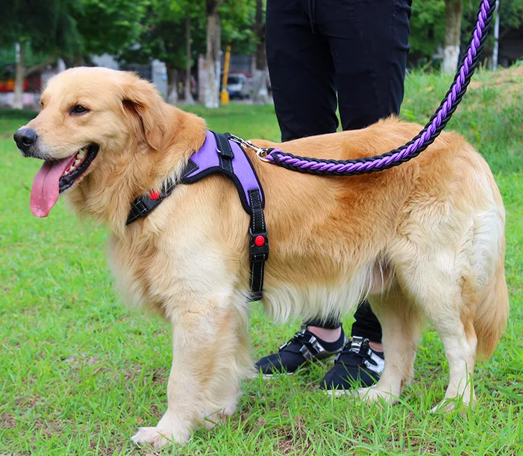 K9 dog collar | Front/Back Metal Leash Attachments, , Reflective, Secure Fit | Perfect for Small Medium Large Dogs | collar har
K9 dog collar | Front/Back Metal Leash Attachments, , Reflective, Secure Fit | Perfect for Small Medium Large Dogs | collar har
