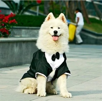 Big large dog wedding Tuxedo garment clothes for bulldogs dog Formal Party Suit tie golden retriever big dog coat jacket costume
Big large dog wedding Tuxedo garment clothes for bulldogs dog Formal Party Suit tie golden retriever big dog coat jacket costume