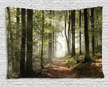 Farm House Decor Collection Autumnal Forest Pathway in the Mountains With Mist in the Distance Wilderness Scene Room Tapestry
Farm House Decor Collection Autumnal Forest Pathway in the Mountains With Mist in the Distance Wilderness Scene Room Tapestry