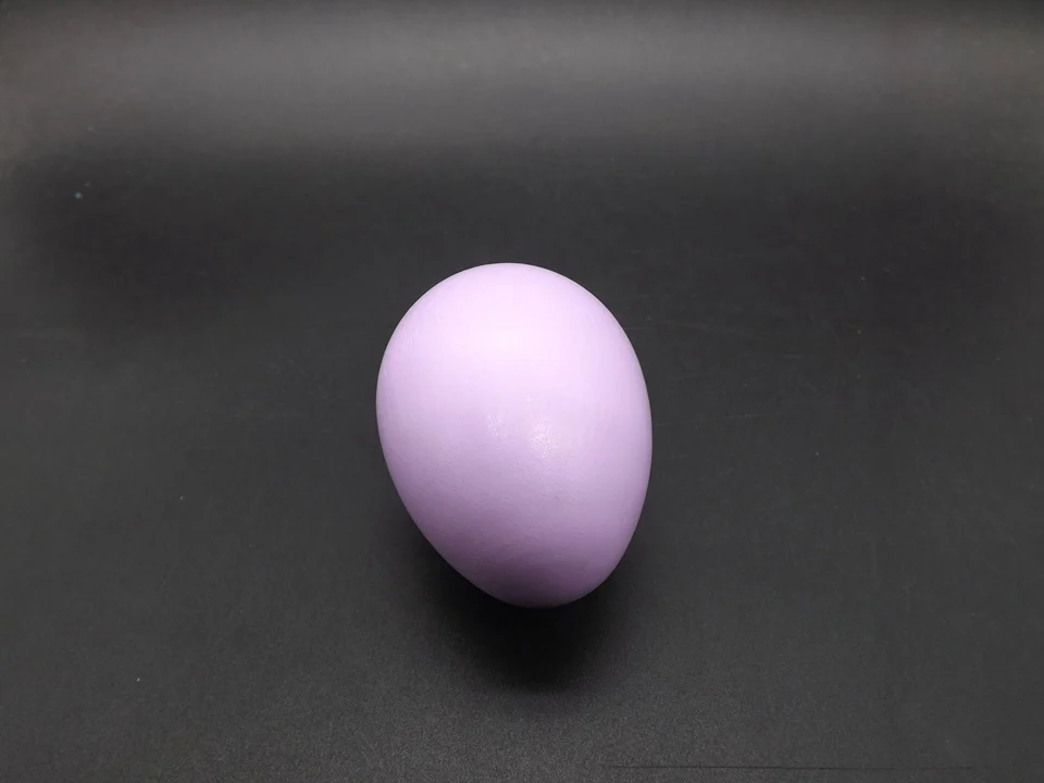 I433-Egg (6)
