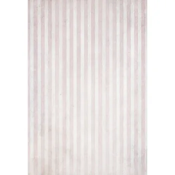 Free shipping Vinyl Photography Background Light Color Stripe Computer Printed Dream Children Backdrops for Photo Studio
Free shipping Vinyl Photography Background Light Color Stripe Computer Printed Dream Children Backdrops for Photo Studio