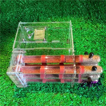 Acrylic Ant Farm with Feeding Area Ant Nest Ants House Factory Insect 6 Test Tubes Pet Anthill
Acrylic Ant Farm with Feeding Area Ant Nest Ants House Factory Insect 6 Test Tubes Pet Anthill