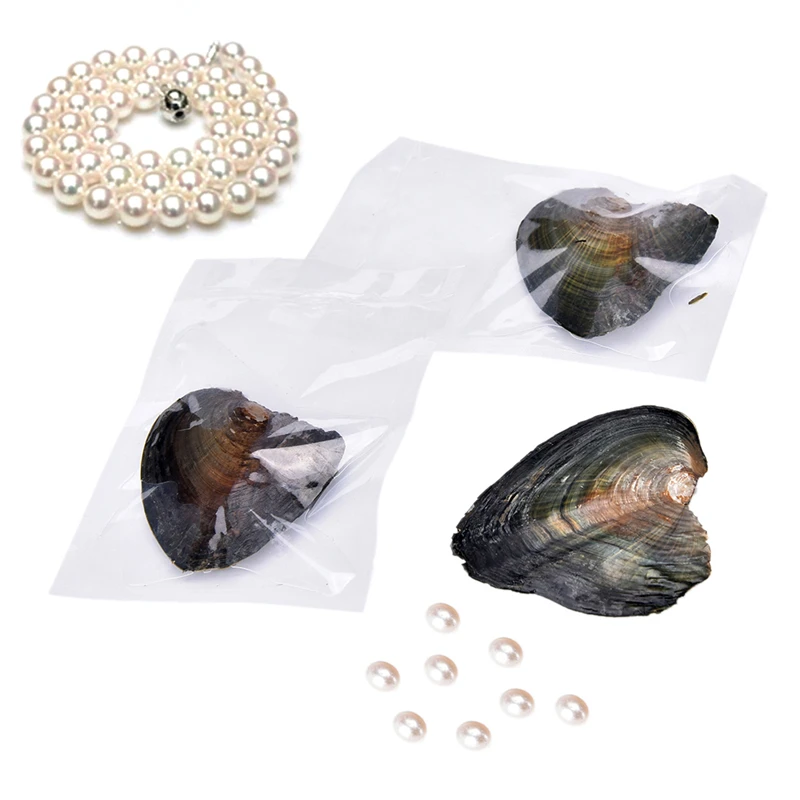 Shell Wish Pearl Oyster Vacuum-packed 7-8mm Randomly Color/Shaped Natural Real Pearls in Oyster Pearls Jewelry Gifts
Shell Wish Pearl Oyster Vacuum-packed 7-8mm Randomly Color/Shaped Natural Real Pearls in Oyster Pearls Jewelry Gifts