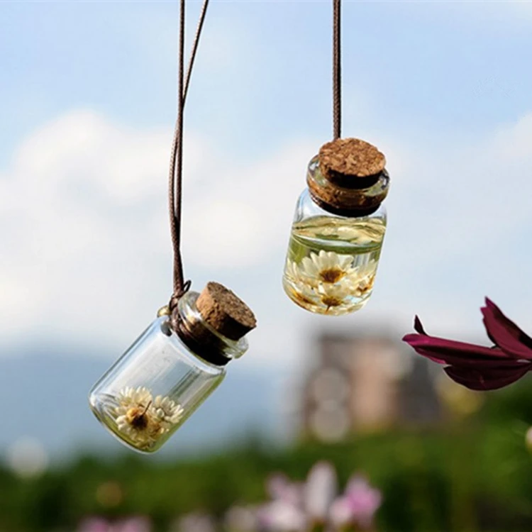 Car Perfume Bottle with Flower Car Interier Ornament Perfume Pendant Empty Hanging Bottle Car-styling
Car Perfume Bottle with Flower Car Interier Ornament Perfume Pendant Empty Hanging Bottle Car-styling
