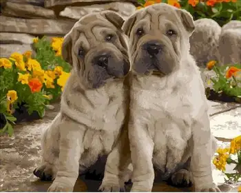 two dogs New Diy digital oil painting by numbers paint drawing coloring by number canvas hand painted picture wall decor craft
two dogs New Diy digital oil painting by numbers paint drawing coloring by number canvas hand painted picture wall decor craft