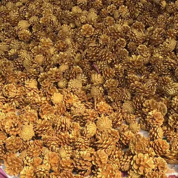 50pcs Dried Dyed Gold Pinecone Pine Cone Fruit For Wedding Party Home Hotel Decoration DIY Bouquet Vase Craft Accessory
50pcs Dried Dyed Gold Pinecone Pine Cone Fruit For Wedding Party Home Hotel Decoration DIY Bouquet Vase Craft Accessory