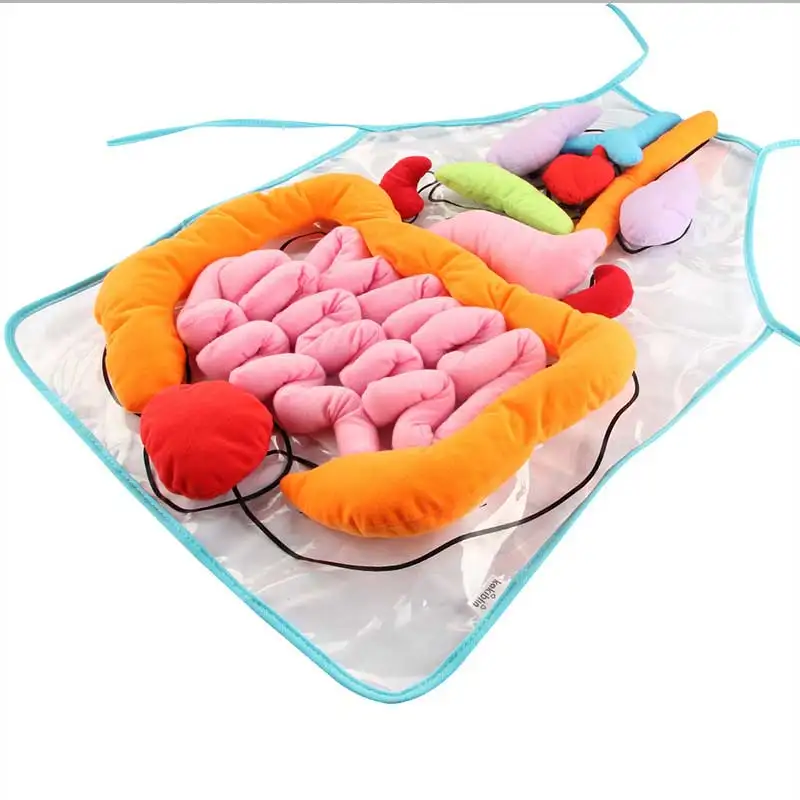 Educational Insights Toys For Children Anatomy Apron Human Body Organs Awareness Preschool Science Home School Teaching Aids
Educational Insights Toys For Children Anatomy Apron Human Body Organs Awareness Preschool Science Home School Teaching Aids
