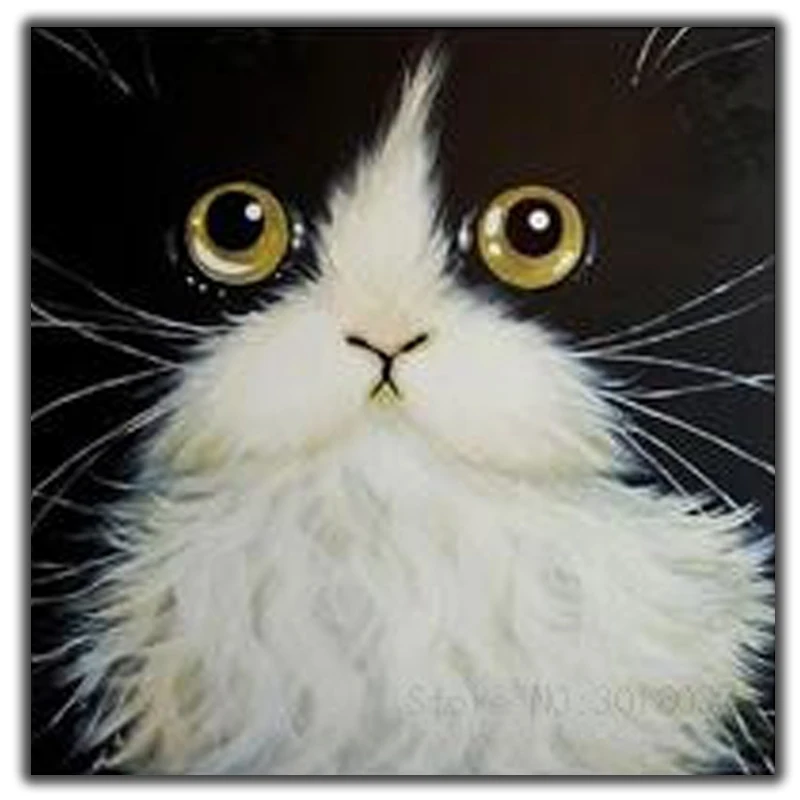 Diy Diamond Painting Cross Stitch Look At The Stuff Into Cat Needlework Diamond Embroidery Full Square Mosaic Decoration Resin
Diy Diamond Painting Cross Stitch Look At The Stuff Into Cat Needlework Diamond Embroidery Full Square Mosaic Decoration Resin