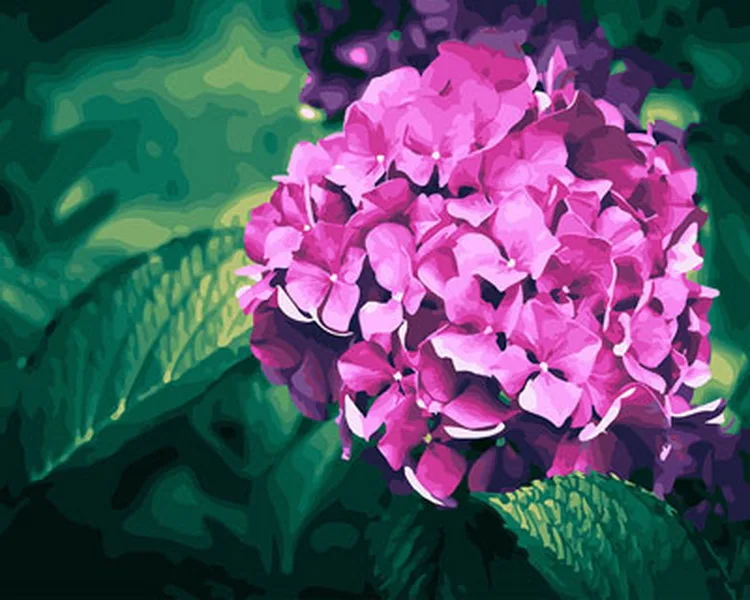 Frameless picture oil paintings by numbers flowers wall decor diy painting on canvas 4050cm purple Hydrangea
Frameless picture oil paintings by numbers flowers wall decor diy painting on canvas 4050cm purple Hydrangea