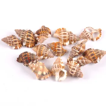 20-30mm Natural Spiral SeaShell Scrapbook Craft for glass bottle decoration DIY handmade 20pcs TRS0302
20-30mm Natural Spiral SeaShell Scrapbook Craft for glass bottle decoration DIY handmade 20pcs TRS0302