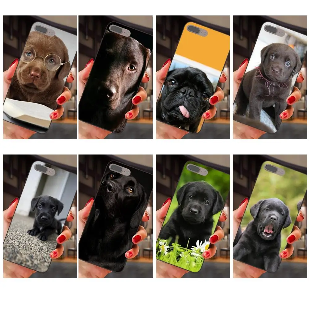 Soft Silicone TPU Black Capa Black Labrador Puppies Dog For Samsung Galaxy A3 A5 A6 A6s A7 A8 A9 Star Plus 2016 2017 2018
Soft Silicone TPU Black Capa Black Labrador Puppies Dog For Samsung Galaxy A3 A5 A6 A6s A7 A8 A9 Star Plus 2016 2017 2018