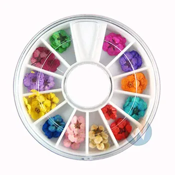 1 Box Art Accessories Real Dry Dried Flowers 12 Colors Bundle Set in Wheel Real Dried Daisy Flower Dry Plants @3
1 Box Art Accessories Real Dry Dried Flowers 12 Colors Bundle Set in Wheel Real Dried Daisy Flower Dry Plants @3