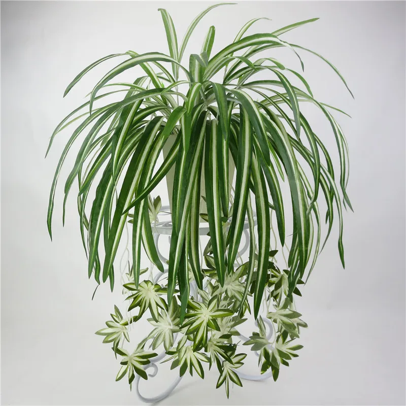 5 heads 65cm Artificial flower Chlorophytum Comosum Faux Greenery Home Hotel Decor Artificial Spider Plant Leave
5 heads 65cm Artificial flower Chlorophytum Comosum Faux Greenery Home Hotel Decor Artificial Spider Plant Leave